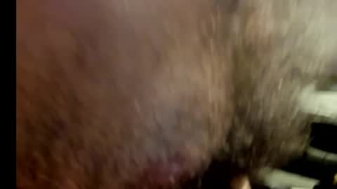 harry_banana online show from 17, 1, 2025