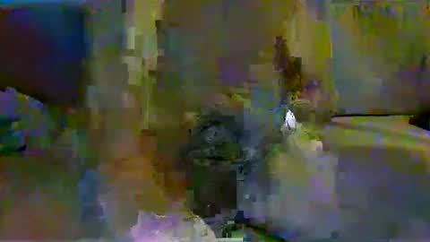 harryhavana online show from 11, 2, 2025