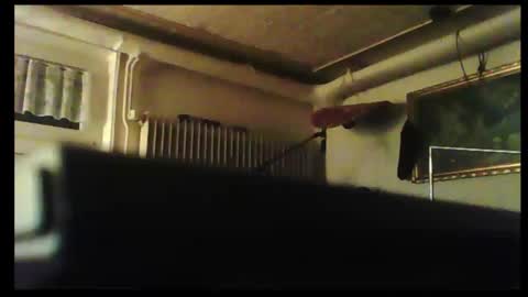 hot n  nasty online show from 8, 12, 2024