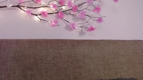 Snapshot of haru_blossom chatting on 6, 1, 2025     online show from 6, 1, 2025