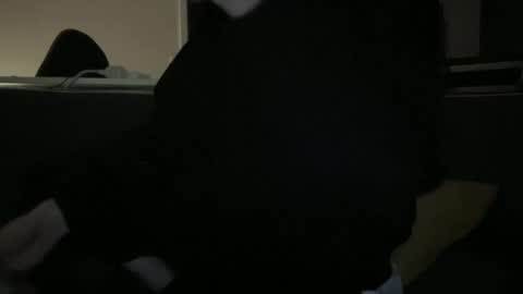 Snapshot of hchappel19 chatting on 1, 10, 2025 hchappel19 online show from 1, 10, 2025