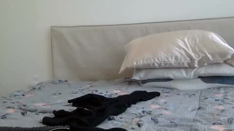 heatwavee online show from 2, 2, 2025