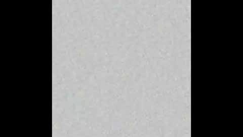 Manyvids    online show from 8, 10, 2025