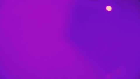 heidikendal online show from 26, 2, 2026