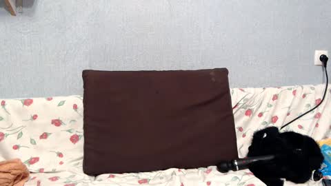 Snapshot of helenred chatting on 18, 1, 2025 HelenRed online show from 18, 1, 2025