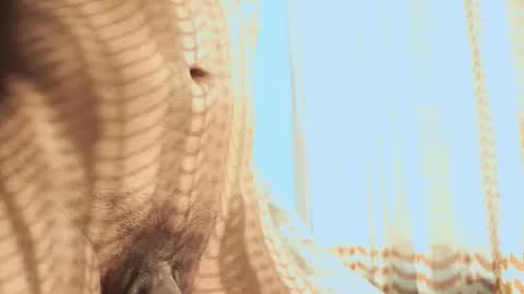 Snapshot of heliero chatting on 3, 2, 2026 Helio online show from 3, 2, 2026