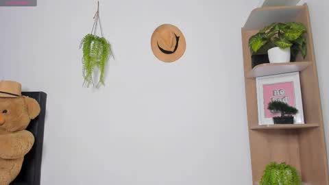 alan y zack online show from 23, 11, 2025