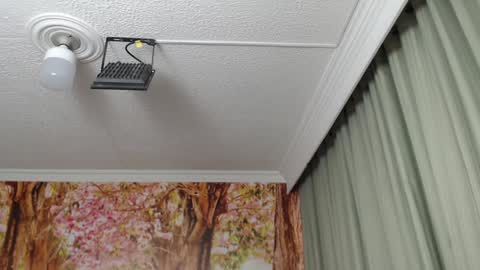 Hellen online show from 23, 1, 2025