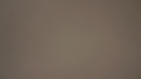 hellohowareyou66 online show from 5, 3, 2025