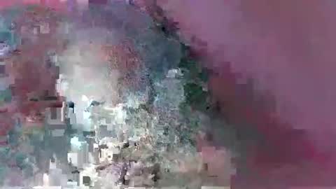 herina69 online show from 17, 3, 2026