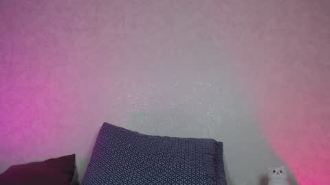 Hesssa Prime time  The broadcasts start at 3am and 3 pm London time  online show from 28, 12, 2024