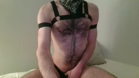 Hector or Hex for short online show from 1, 3, 2026