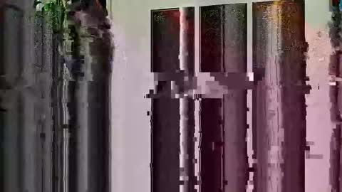 Snapshot of highandhell chatting on 19, 2, 2026 Highandhell online show from 19, 2, 2026