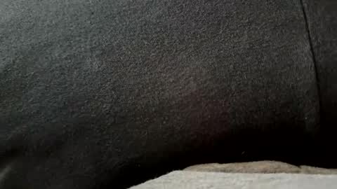 higheguy online show from 20, 2, 2026