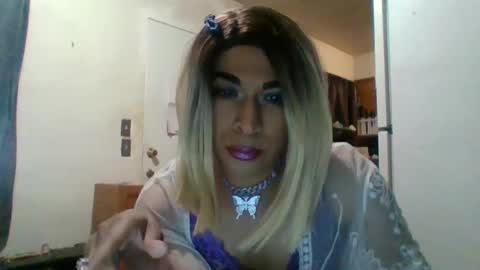 Snapshot of hihheelstranny chatting on 20, 1, 2025 hihheelstranny online show from 20, 1, 2025