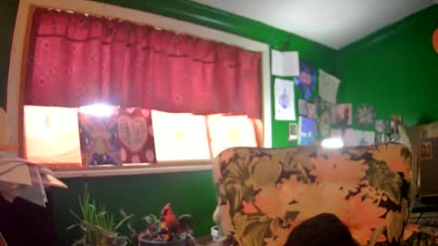 hippiedad333 online show from 16, 6, 2026