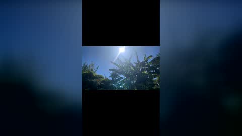 Bonaerense online show from 7, 2, 2026