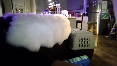 Jjjmoney93 online show from 3, 10, 2025