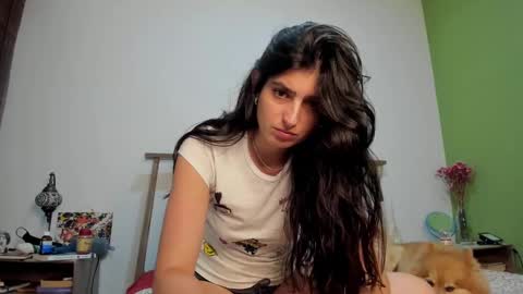 Snapshot of hollyshit_ chatting on 24, 12, 2024 hollyshit_ online show from 24, 12, 2024