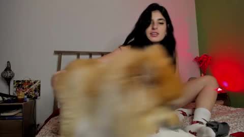 Snapshot of hollyshit_ chatting on 24, 12, 2024 hollyshit_ online show from 24, 12, 2024