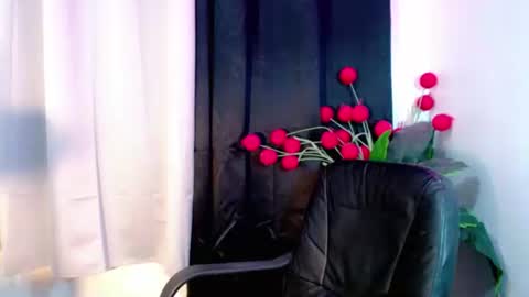 Snapshot of holy_shine chatting on 13, 1, 2026 Bella online show from 13, 1, 2026