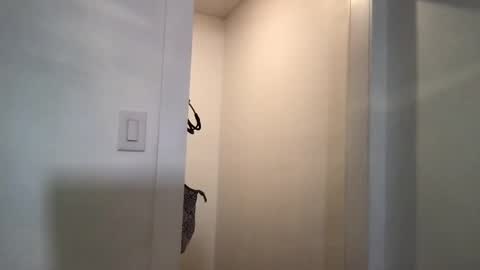 Snapshot of honeybeexx69 chatting on 5, 3, 2025 HoneyBeeXx69 online show from 5, 3, 2025