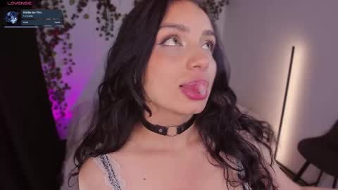       online show from 11, 3, 2025