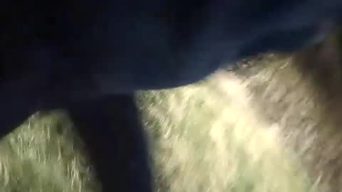 Jovante online show from 13, 9, 2025