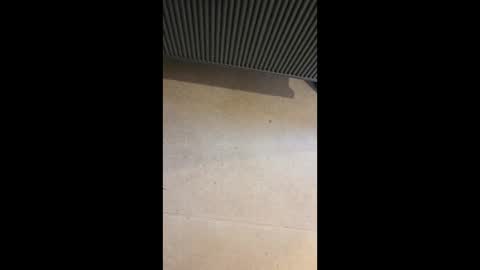 Snapshot of horny4more691 chatting on 10, 3, 2026 horny4more691 online show from 10, 3, 2026