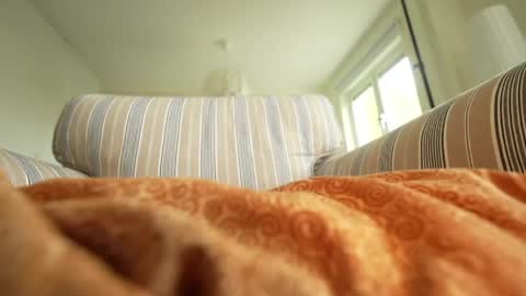horny_edgucated online show from 3, 5, 2026