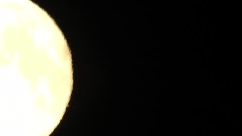 horny_edgucated online show from 30, 7, 2026