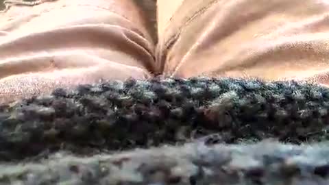 Tiny cock online show from 18, 1, 2026