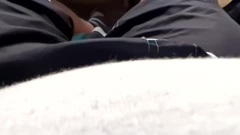 Tiny cock online show from 17, 5, 2026