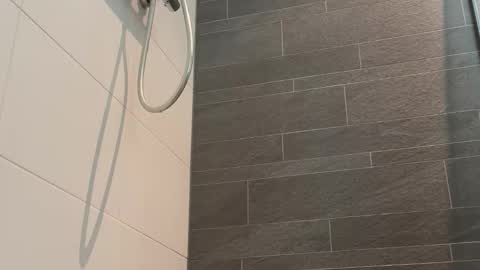 Toyboy online show from 24, 3, 2026