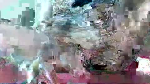 hornydrop_ online show from 30, 9, 2025