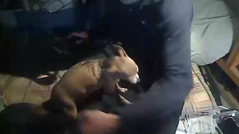 Snapshot of hornyscott666 chatting on 4, 3, 2026 hornyscott666 online show from 4, 3, 2026