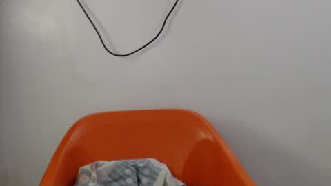 hornyxbum online show from 14, 7, 2026