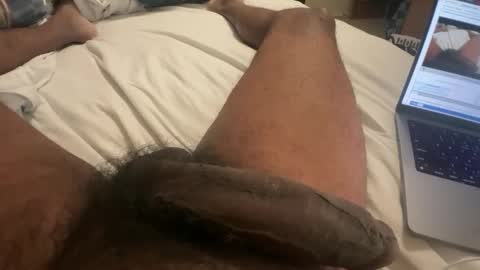 Bbc horsey online show from 16, 2, 2025