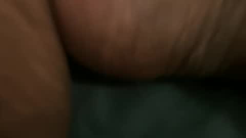 Bbc horsey online show from 17, 1, 2026