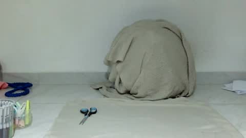 Snapshot of hostshairy chatting on 23, 7, 2026 Sally silly wily online show from 23, 7, 2026