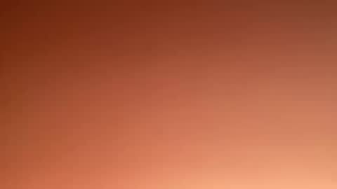 Marcus  Tatti  online show from 20, 2, 2025