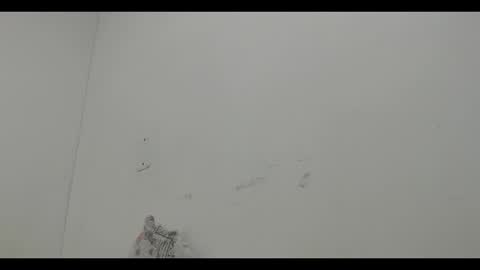 Mia online show from 12, 12, 2024