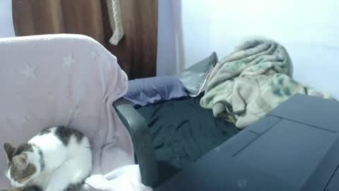 Snapshot of hotandpower10 chatting on 14, 11, 2025 Hot and PowerHOPE U MISS ME online show from 14, 11, 2025