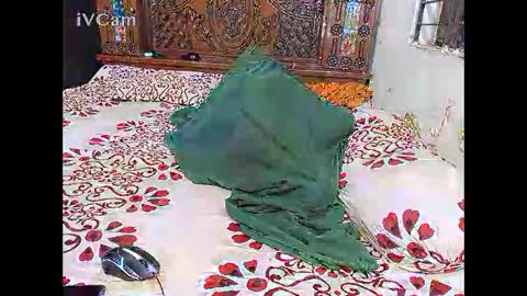 Hotcapolx online show from 24, 11, 2025