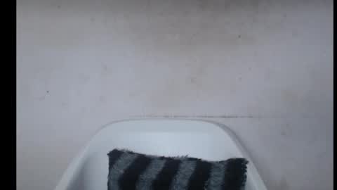 hotjessie0 online show from 26, 9, 2025