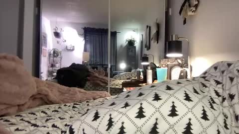 Annabelle online show from 15, 12, 2025