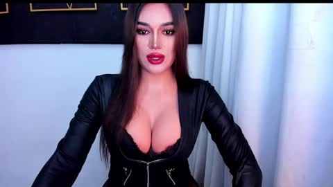 STELLA online show from 8, 5, 2026