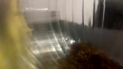 Snapshot of howarudoing chatting on 5, 10, 2025 howarudoing online show from 5, 10, 2025