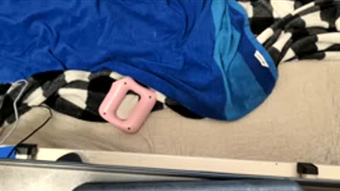 htfsb online show from 17, 3, 2026