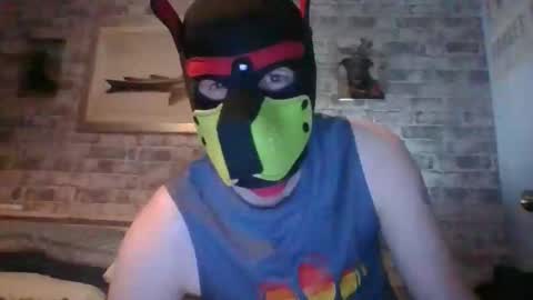 Hudson the puppy play online show from 2, 4, 2026
